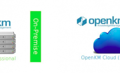 OpenKM Professional vs. OpenKM Cloud (SaaS)